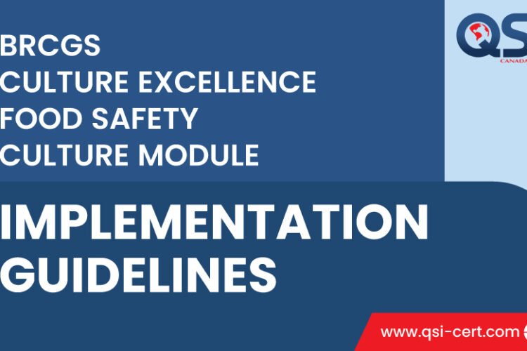 Implementation-Guidlines-Banner